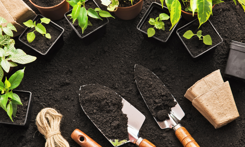 Basic Gardening Tools