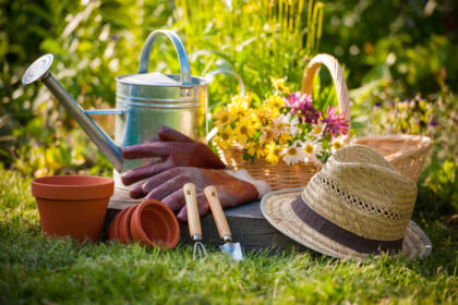 Gardening Tools Every Gardener Needs