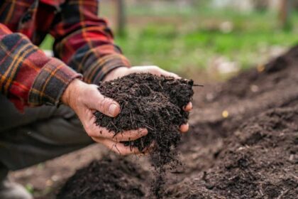 How to Make Compost at Home