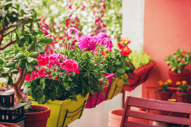 How to Start a Container Garden