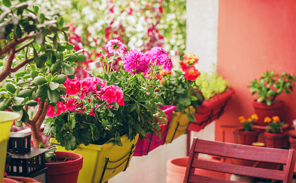 How to Start a Container Garden