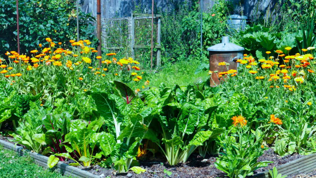 Tips for Successful Companion Planting