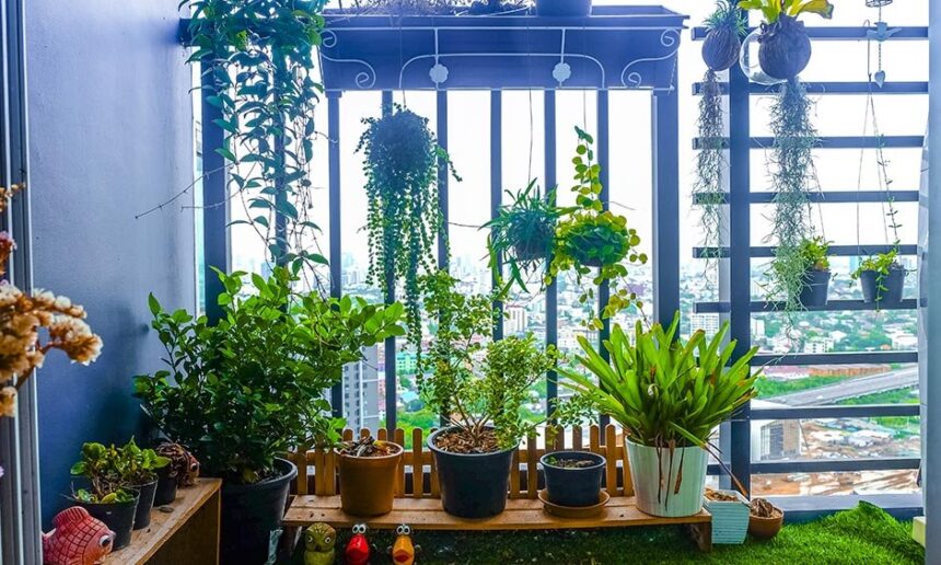 Vertical Gardening Ideas for Small Spaces