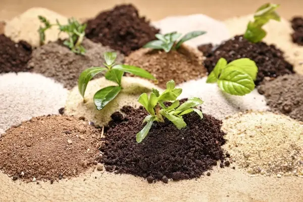 Understanding Soil Types