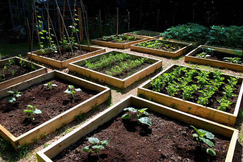 Raised Bed Garden